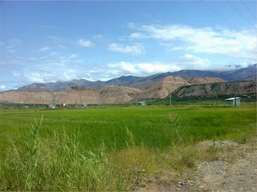 تصویر نمونه پروژه انجام شده شماره سی